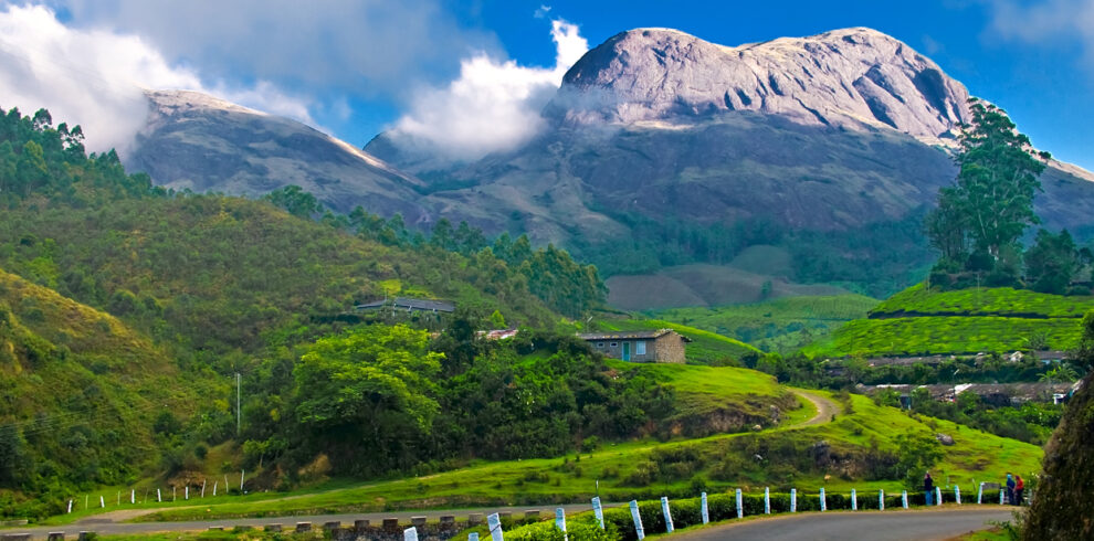 Munnar_hillstation_kerala